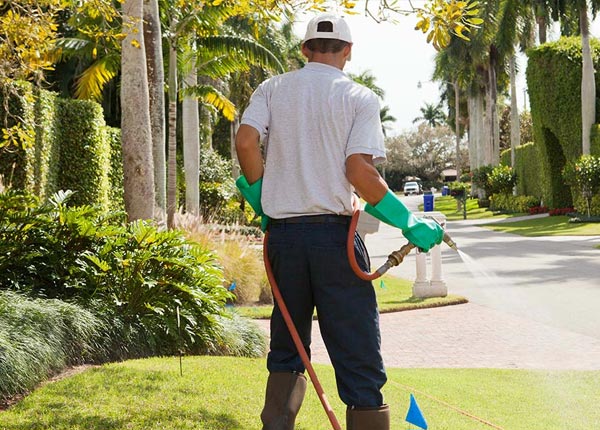 About Southampton PA Pest Control Pros